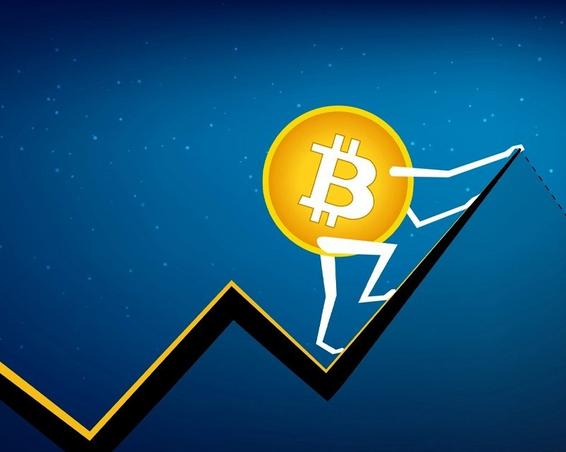 Киты продолжают жадно поглощать биткоин